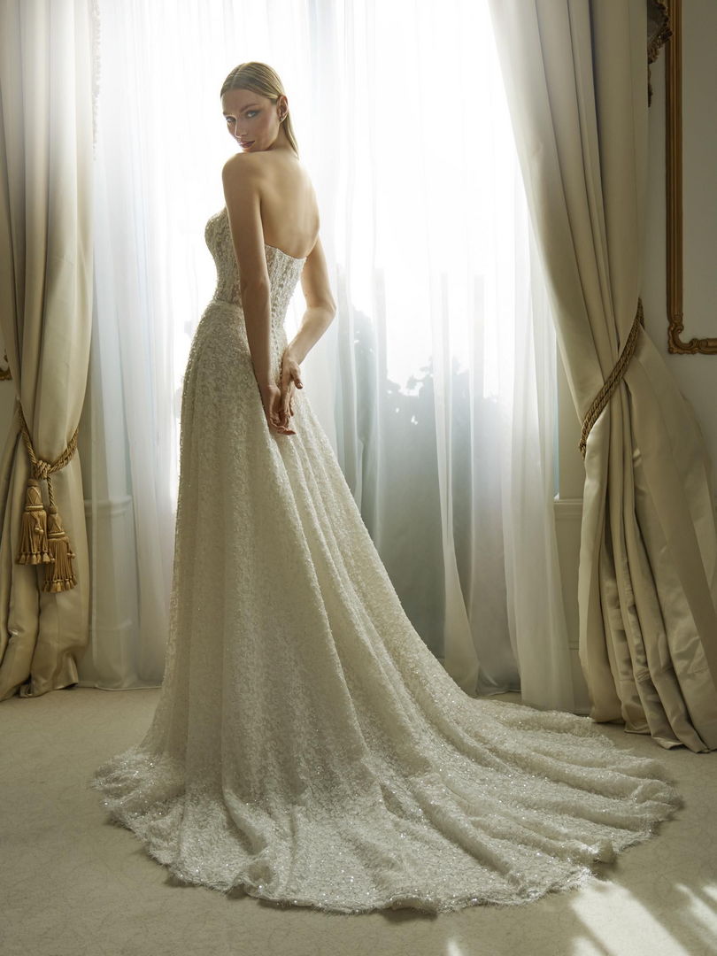 Rückenansicht Brautkleid A-Linie Bandeau H9670