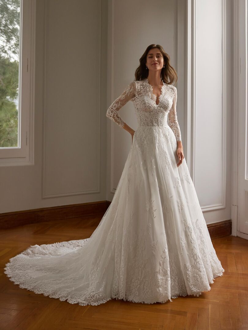 Rückenansicht Brautkleid A-Linie V-Ausschnitt H9968