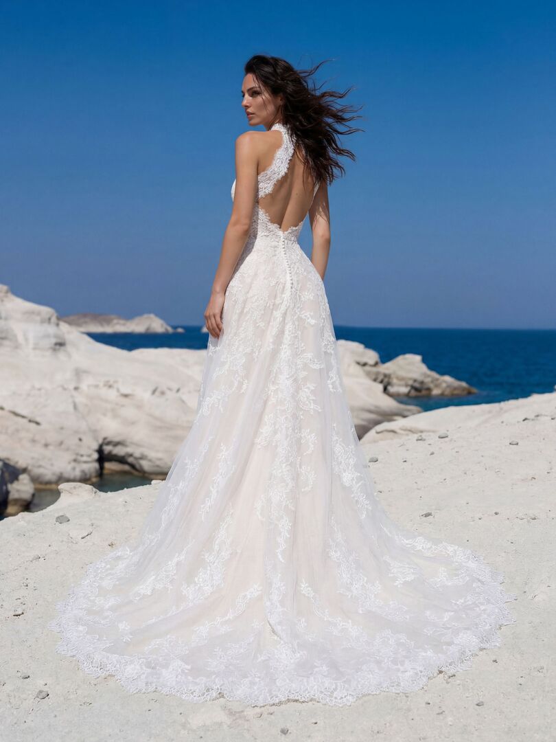 Rückenansicht Brautkleid A-Linie Hochgeschlossen H9986